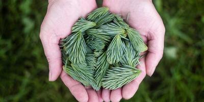 1xbet被抓是否與違法有關？