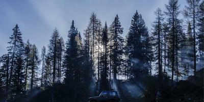 刪除LINE帳號後，之前的聊天記錄還能找回嗎？