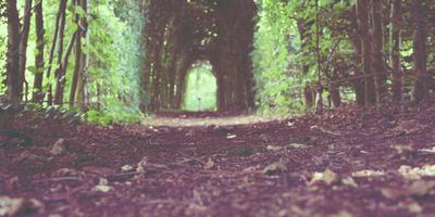 usdt娛樂城體驗金會過期嗎？